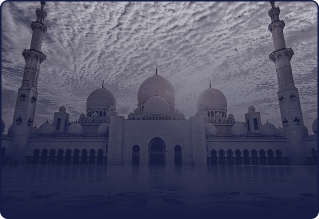 لمحة عن المنصة